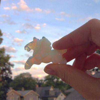 万博manbetx客户端截图